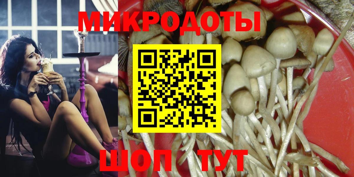 Гудермес  Галлюциногенные грибы мухоморы  Вход с VPN  где найти наркотики  Галлюциногенные грибы мицелий 