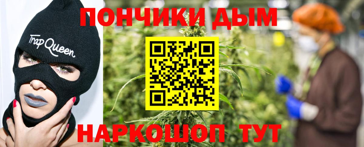 Каннабис VHQ  МАРИХУАНА семена  Канабис Bruce Banner  Шишки марихуана сатива  Вход с VPN  Гудермес 